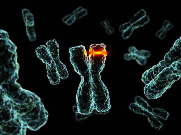 how to leave better and longer life extension research pharmaceuticals and nutraceuticals